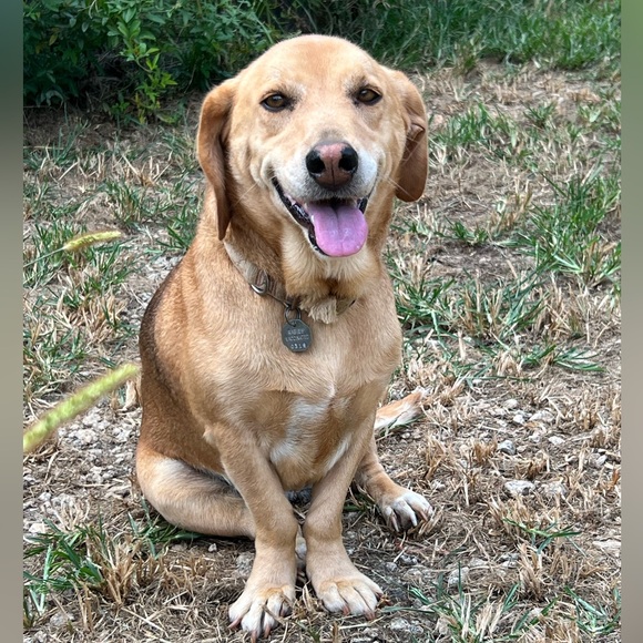 🙋🏻‍♀️Hi, I’m Katie!💕 - Picture 10 of 11